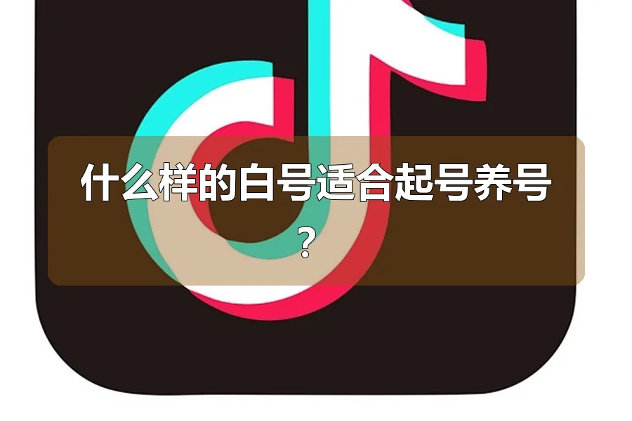 什么样的白号适合起号养号？